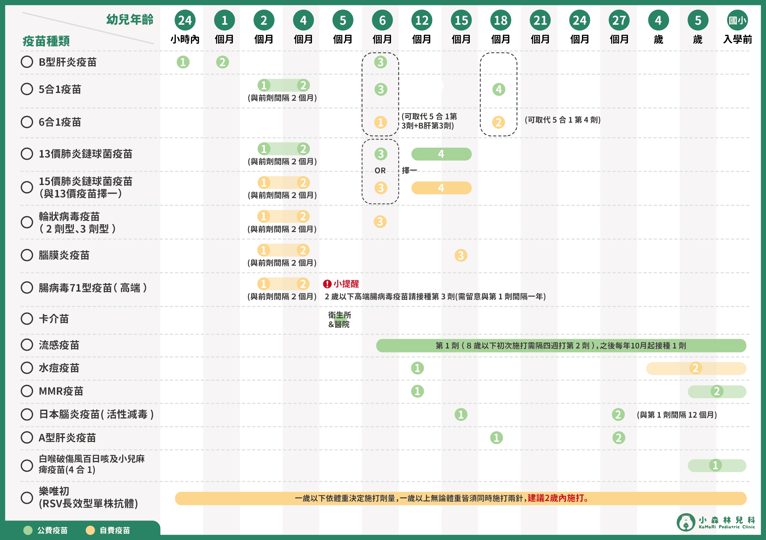 小森林兒科-公費疫苗和自費疫苗甘特圖-A5_20250108